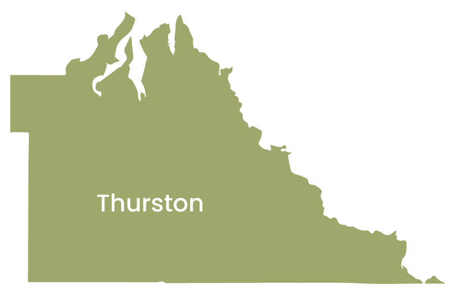 Thurston County Service